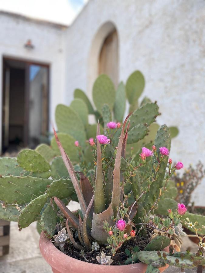 Casa Trieste Alberobello Esterno foto
